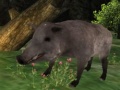 Jogo Wild boar Hunting