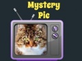 Jogo Mystery Pic