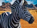 Jogo Zebra Hunter