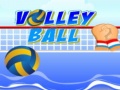 Jogo Volley ball