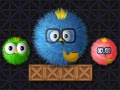 Jogo Where Is My Ruffled Bird