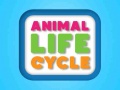 Jogo Animal Life Cycle