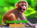 Jogo Funny Baby Monkey