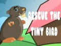 Jogo Rescue The Tiny Bird