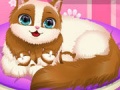 Jogo Cute Kitty Pregnant