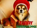 Jogo Funny Christmas Dogs