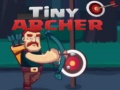 Jogo Tiny Archer