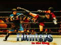 Jogo Fighters in the Ring