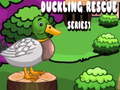 Jogo Duckling Rescue Series1