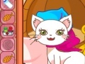 Jogo Cathy The Pretty Cat