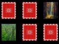Jogo Forest memory