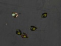 Jogo Zombie Madness - The Awakening