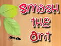 Jogo Smash the Ant