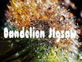 Jogo Dandelion Jigsaw