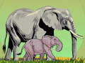 Jogo Wild Animals and Their Babies
