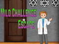 Jogo Amgel Mild Challenge Escape