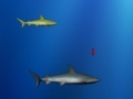 Jogo Lost shark