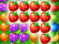 Jogo Fantasy Forest