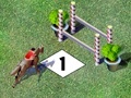 Jogo Competition jump