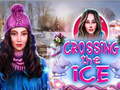 Jogo Crossing The Ice