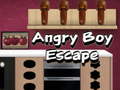 Jogo Angry Boy Escape