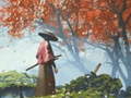 Jogo Samurai Reflexion