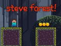 Jogo Steve Forest