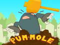 Jogo Pum-Mole