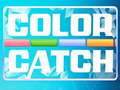 Jogo Color Catch