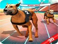 Jogo Crazy Dog Race