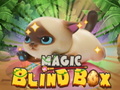 Jogo Magic Blind Box