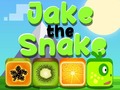 Jogo Jake The Snake