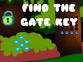 Jogo Find the Gate Key