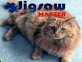 Jogo Jigsaw Master 
