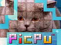 Jogo PicPu Cat 