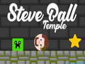 Jogo Steve Ball Temple