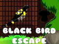 Jogo Black Bird Escape