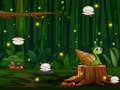 Jogo Snail Run
