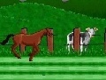 Jogo Horse races