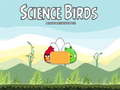 Jogo Science Birds