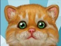 Jogo My Sweet Kitten