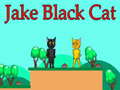 Jogo Jake Black Cat