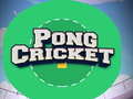 Jogo Pong Cricket