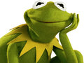 Jogo Coloring Book For Kermit the Frog 