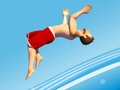 Jogo Flip Divers