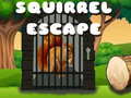 Jogo Squirrel Escape