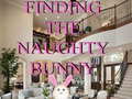 Jogo Finding The Naughty Bunny