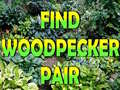 Jogo Find Woodpecker Pair 