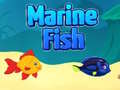 Jogo Marine Fish