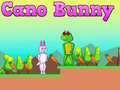 Jogo Cano Bunny